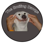 The Smiling Dawgs