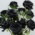 Cute Roses Garden