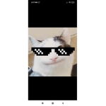 5xrwna
