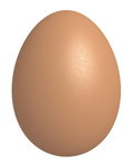 Fried eggz