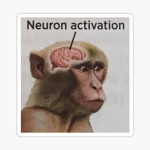 Primates Oficial