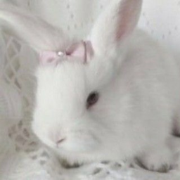 ♡