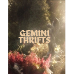 gemini thrifts