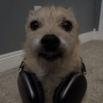 hiᅠᅠ