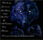 Black Wolfs