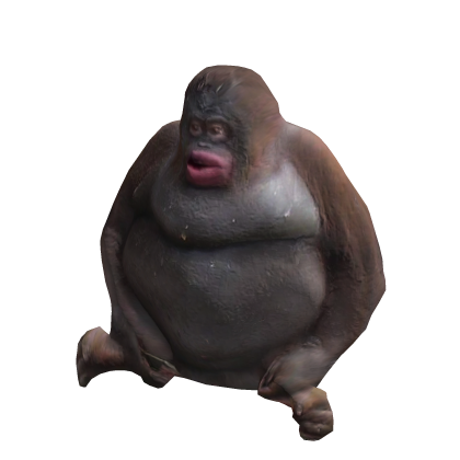 BIG Monkey Suit