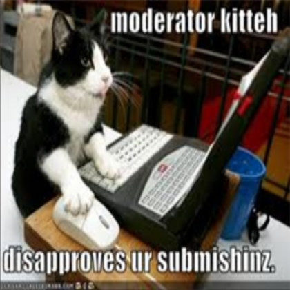 cat Roblox decal