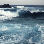 BFF'S Ocean