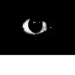 The Creepy Eye