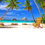 *. ocean oasis .*