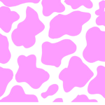 }-{Aesthetic clothing}-{