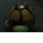 The best football transformers Turtle