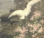 경화수월