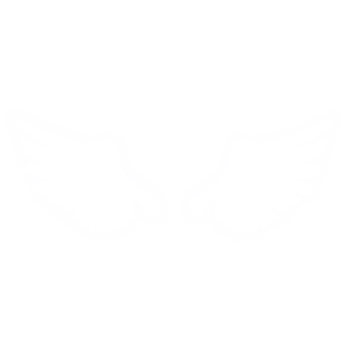 [EMISSIVE] White Glowing Wings