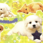 mezzy puppies