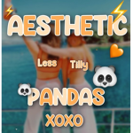 Aesthetic Pandas:3