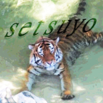 setsuyo