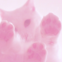────୨ৎ────────୨ৎ────────୨ৎ─────