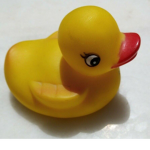 Ducky Land!