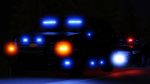 Pine Springs S.W.A.T Group