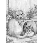 Coco Petz