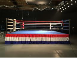 karate fighting