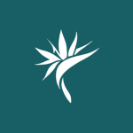 Mokupuni Virtual