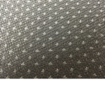 The World of Dylan & Darius .P