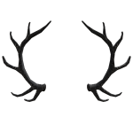 Black Triangle Antlers