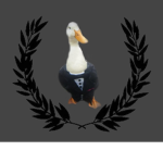 Ducklien Studios