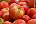 Apple jam gang