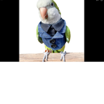 ######## YT group!!!