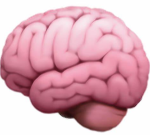 Big Brains Inc
