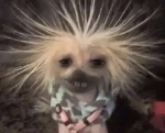 Gruggy baby