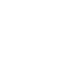 sans fans group team