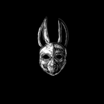 {The White Rabbits}