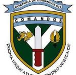 [FAAL] Fuerzas Armadas Albanesas