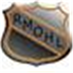 RMOHL (Roblox Major Official Hockey League)