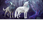 The wolf gang pups pack