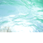 random stuff of roblox