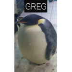 ְ