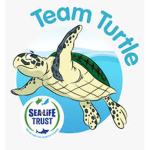 Save The Shellies