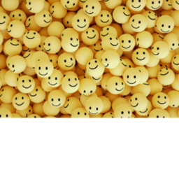 donation simulator