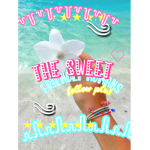 The Sweet Friendly Humans