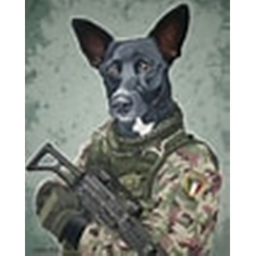 training game (BETA)