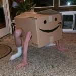 Box Boi Cult