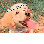 PR3PPY SQU4D