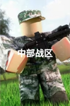 ［WHPLA］武汉军区