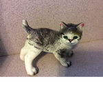 Kitty army123