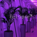 Ecl∙ipse™